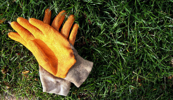 Farm Clothing Gloves-503